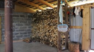 Насыпной погреб зазеленел!