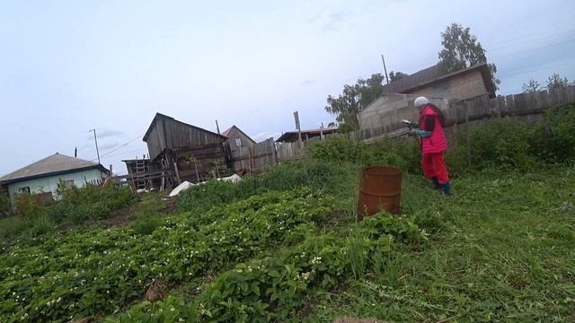 Влог 5 июня 2024г/ 1 серия/Огород /Алтайский край смотреть онлайн