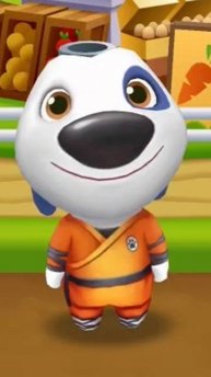 Кунг-фу Хэнк Talking Tom Gold Run