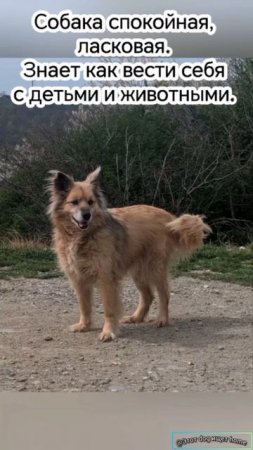 Я не подведу