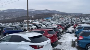 Зеленый Угол Владивосток Цены Сегодня