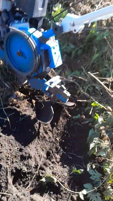 Подготовка грядки под посадку чеснока #урожай #огород
