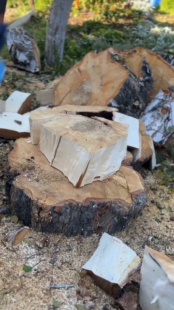 Обожаю 27 Фискарс 🫶🏻🪵🪓 смотреть онлайн