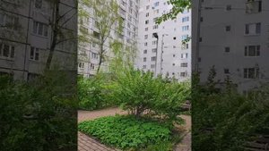 Moscow, Altufyevsky district 06.05.2025