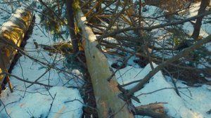 Топор из стали 9ХС от Бориса Юргина. Проверка стойкост?