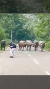 Подпишись, чтобы не потерять!
