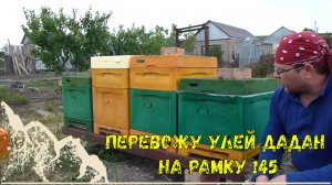 Переводим улей с рамки дадан на рамку 145