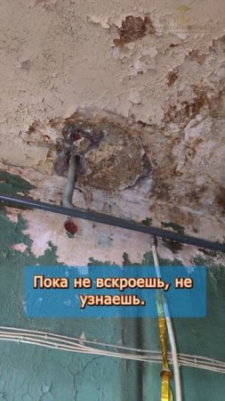 ☠️ Вскрыли потолок в мокрой зоне — плесень, гниль, ужас под трубами