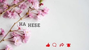 20 сентября 2024, Луков день, народные приметы на 20 сентяб