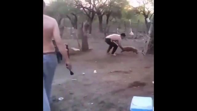 прикол)свинья)ржач)) смотреть онлайн