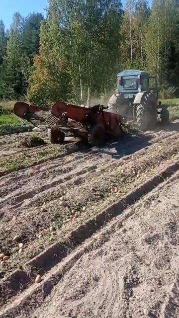 Копаем картошку!!! Жизнь в деревне!!! смотреть онлайн