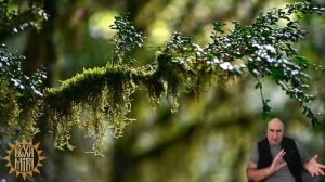 Практика на грани. Уличные посиделки