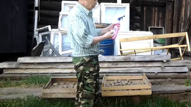 Какое средство я использую для защиты картофеля от колорадского жука. Это самый лучший способ.