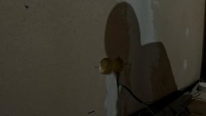 установка подрозетников в каркасную стену