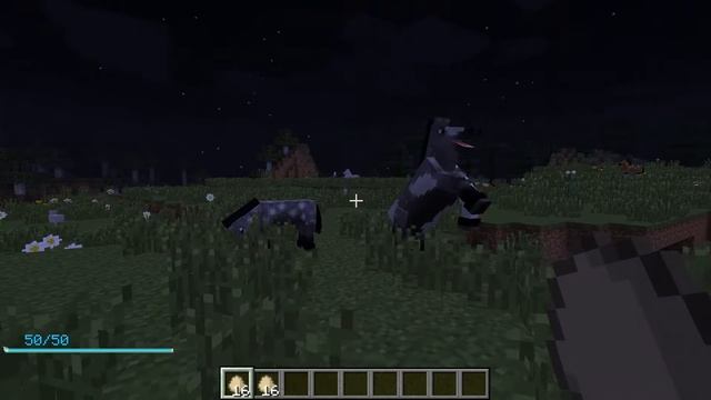 Если из моего яйца вылупиться петух, видео закончится смотреть онлайн