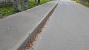 7.05.2025.Усадьба Парк Кино Ляхово. Парк Кошек.Домодедово.Обзор проведённых работ.Трасса Каширского
