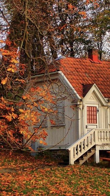 Осенний #vibe невозможен без уютного дома! Всем тепла! #к? смотреть онлайн