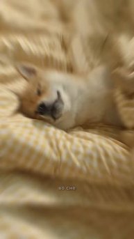 😴😎Этот Бизнесмен Спит 300 Дней в Году