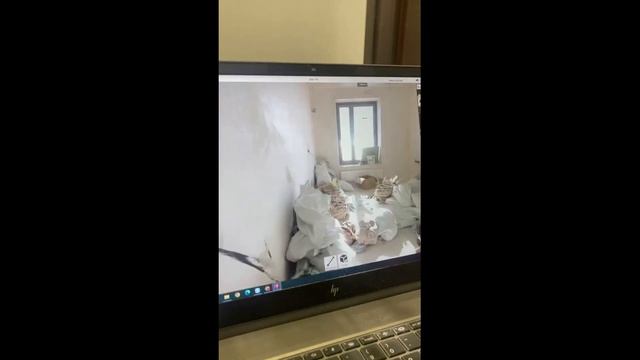 Современные лазерные 3D сканеры для дизайна. Сравнение