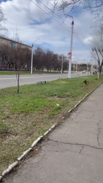 Комсомольск Дзержинского 22. Улица