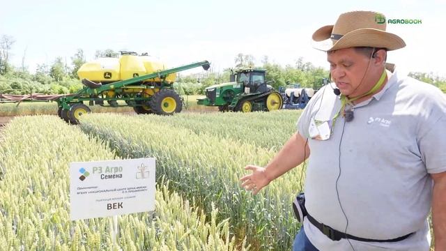 Сорта мягкой озимой пшеницы для высокого, среднего и б смотреть онлайн