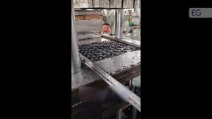 Вертикальный пресс для брикетирования угля, модель YJ-300