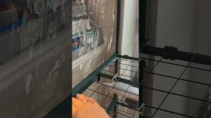 ОБЗОР МИНИ ПАРНИКА В КВАРТИРЕ #теплица #огороднаокне #?