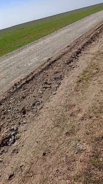 ‼️‼️‼️СРОЧНО ‼️‼️‼️ #астрахань #помидоры #посад смотреть онлайн