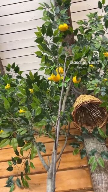 Декор веранды в стиле Сицилия 🍋