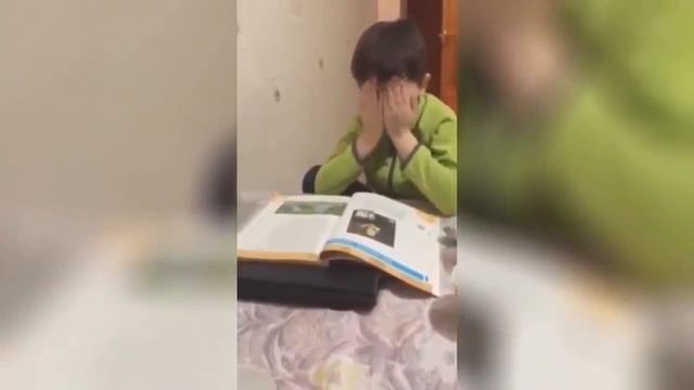 Приколы,новинки смотреть всем смотреть онлайн