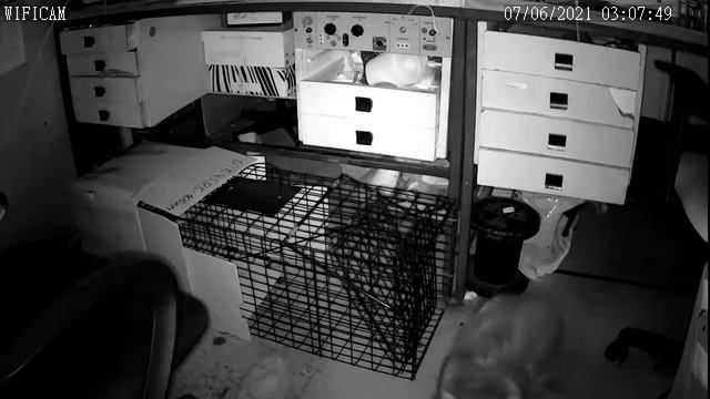 Дыры и заборы смотреть онлайн