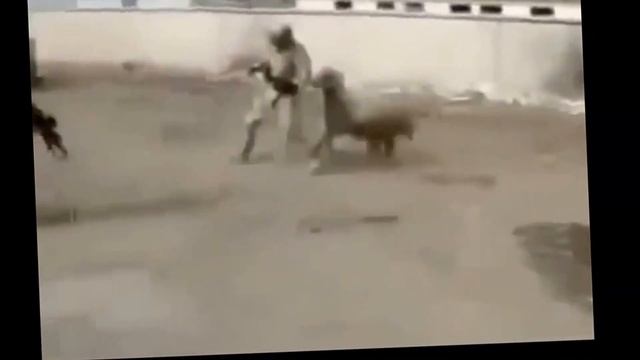 ★ АРМЕЙСКИЕ ПРИКОЛЫ # 2 ★ARMY FUN # 2 смотреть онлайн