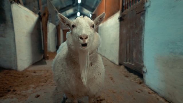 Жанна Смольянова-  "TOY" (cover) смотреть онлайн