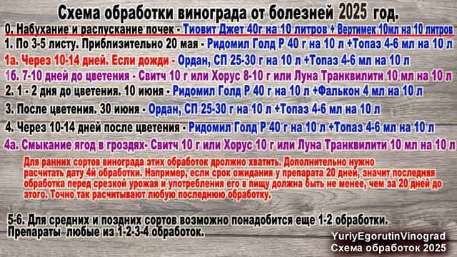 🍇 КАЛЕНДАРЬ ОБРАБОТОК ВИНОГРАДА от БОЛЕЗНЕЙ на 2025 го?