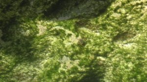 Смотровая площадка Angel’s Billabong на острове Nusa Penida