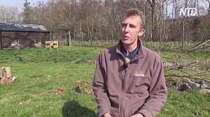 Йогу з лемурами практикують у британському заповіднику «Лейк-Дистрикт»