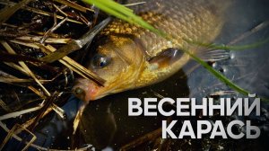 СМЕНИЛ УДОЧКУ И ДЕЛО ПОШЛО! ВЕСЕННЕЙ КАРАСЬ! Рыбалка на деревенском пруду.
