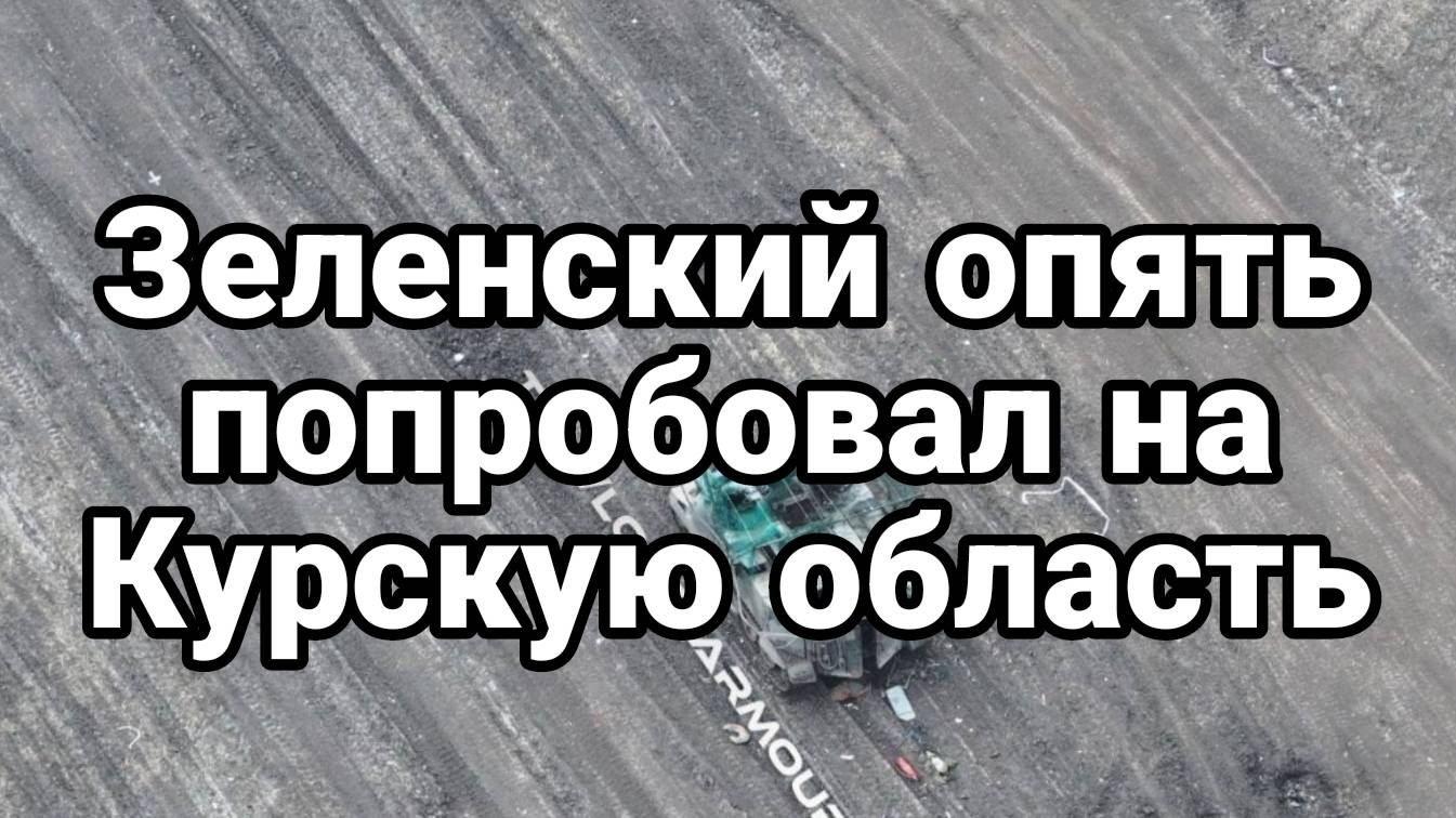 МРИЯ⚡️ ТАМИР ШЕЙХ / ОПЯТЬ КУРСКАЯ ОБЛАСТЬ. Новости Сводки