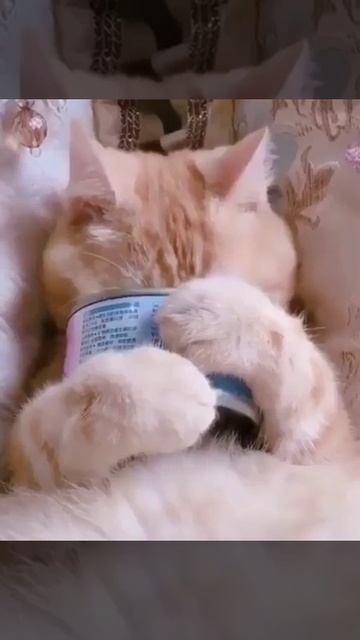 Настроение - суббота 😊