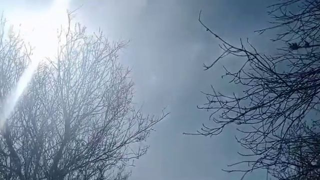 Вот это чудесаИнтересные истории из жизни
