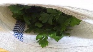 Сушка петрушки на зиму ( в микроволновке)