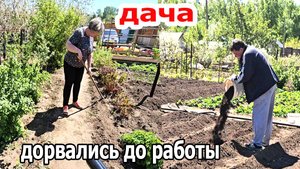 Дача.Доделали грядки.Ждем тепла.Покажу все свои посадки.Май 2025