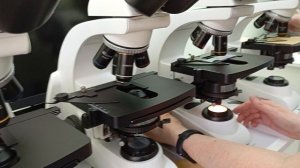 Проверка лабораторного микроскопа Микромед на качество исследования