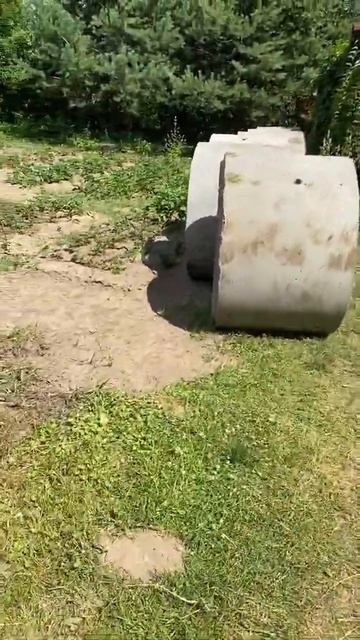 Копка 3-х камерного септика 3+3+3 Дмитровский район Зака? смотреть онлайн