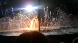 Московский цирк шапито"Цирк на воде".Фаеершоу