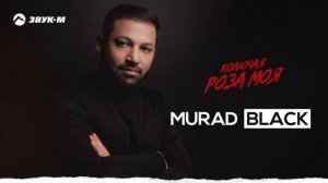 Murad Black - Колючая роза моя | Премьера трека 2025