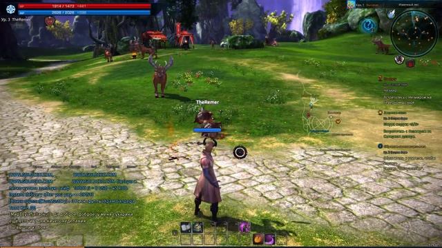 Tera Online | ПЕРВЫЙ ВЗГЛЯД