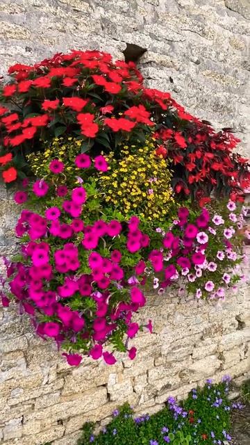 Незабываемый туалет!#shorts #путешествия #идея #цветы #диз смотреть онлайн