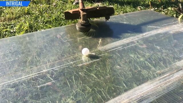 Триммер против теннисного шарика смотреть онлайн