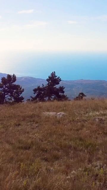 Крым гора 🏔️ Демерджи! #крым #отдыхвкрыму #демерджи #горыкрыма